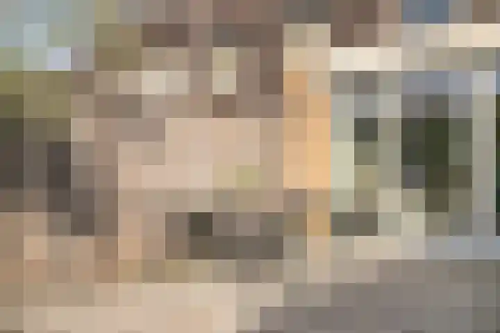 Klaproosstraat 47 Goes thumbnail 26