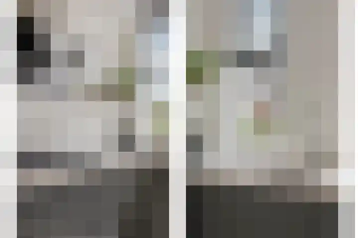 Klaproosstraat 47 Goes thumbnail 9