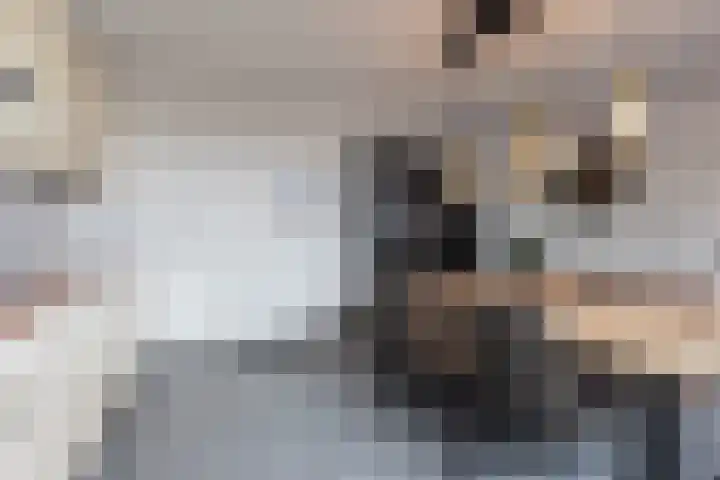Klaproosstraat 6 Sittard thumbnail 16