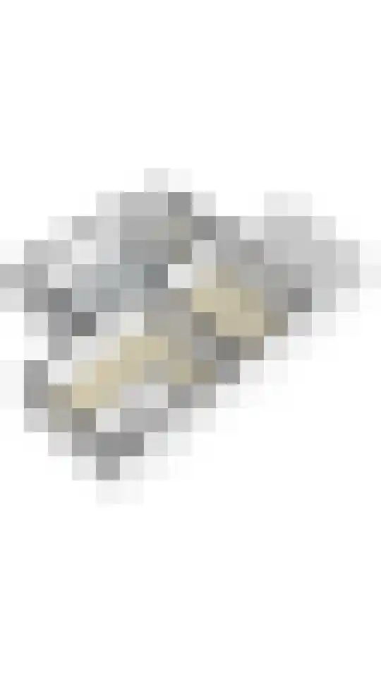 Klaproosstraat 6 Sittard thumbnail 33