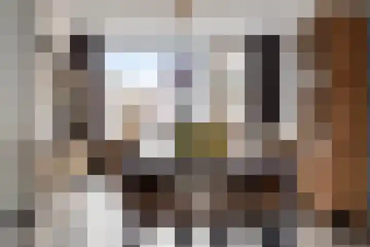 Klaproosstraat 7 Ospel thumbnail 10