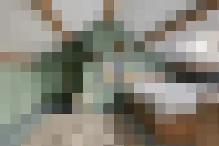 Klaproosstraat 7 Ospel thumbnail 26