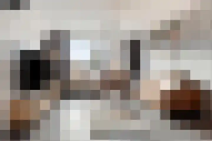 Klaproosstraat 7 Ospel thumbnail 4