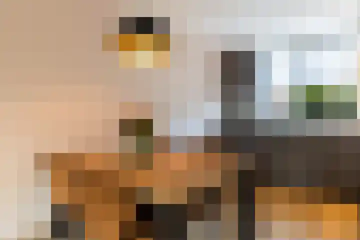 Klaproosweide 3 Woerden thumbnail 11