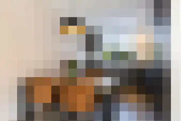 Klaproosweide 3 Woerden thumbnail 13