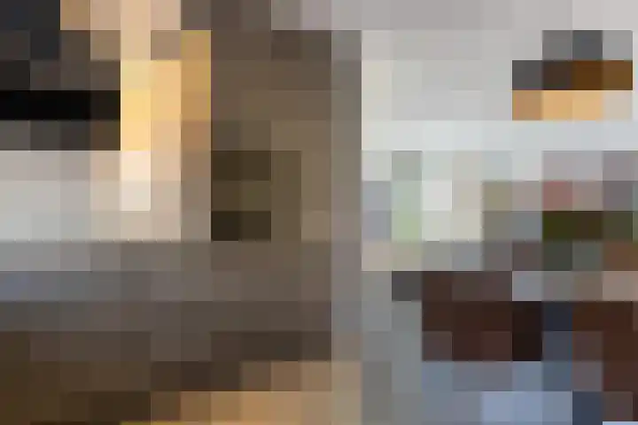 Klaproosweide 3 Woerden thumbnail 16