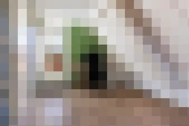 Klaproosweide 3 Woerden thumbnail 34