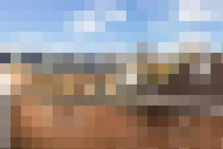 Klaproosweide 3 Woerden thumbnail 35