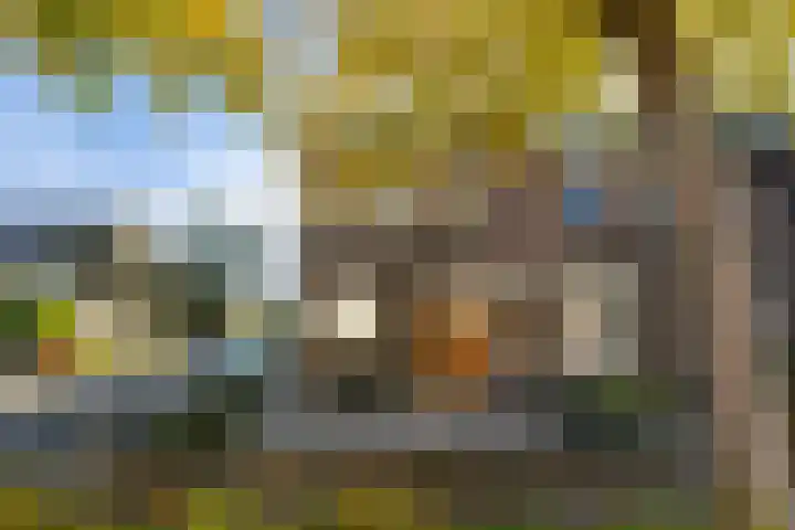 Klaproosweide 86 dans Woerden