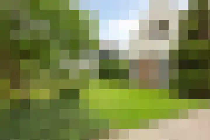 Klapstraat 154 Westervoort thumbnail 61