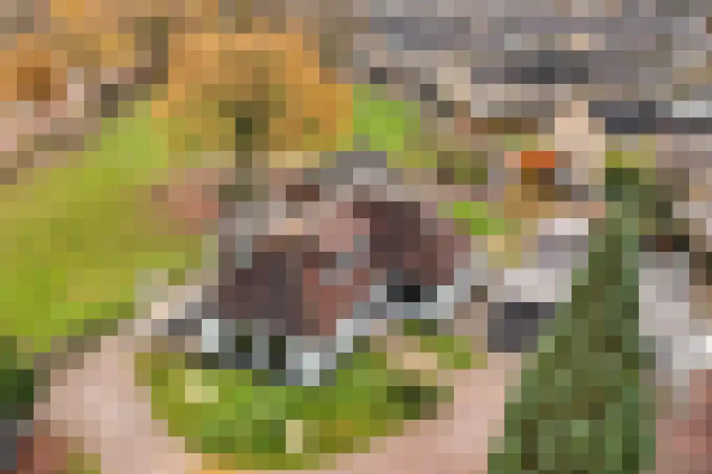 Klapstraat 35 Wijchen thumbnail 35