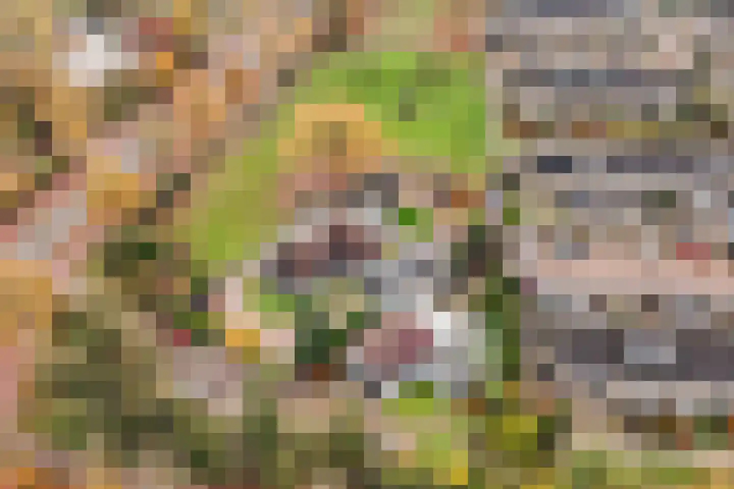 Klapstraat 35 Wijchen thumbnail 36