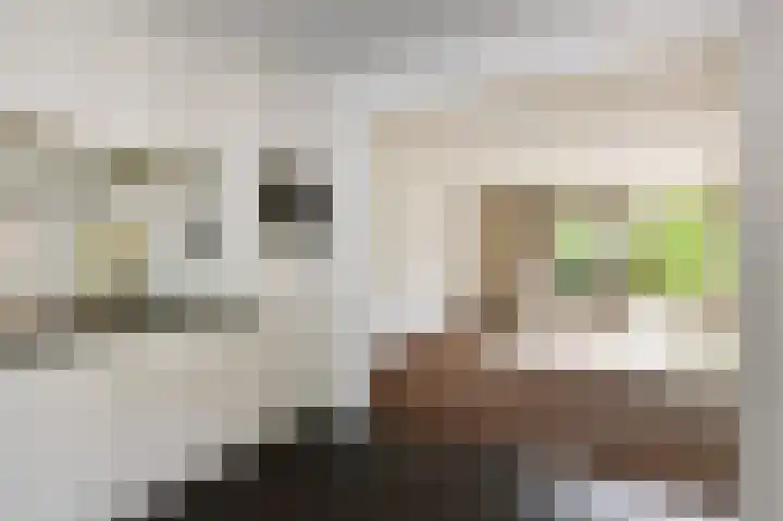 Klapstraat 35 Wijchen thumbnail 38