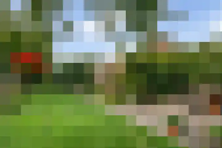 Klapstraat 92 Westervoort thumbnail 37