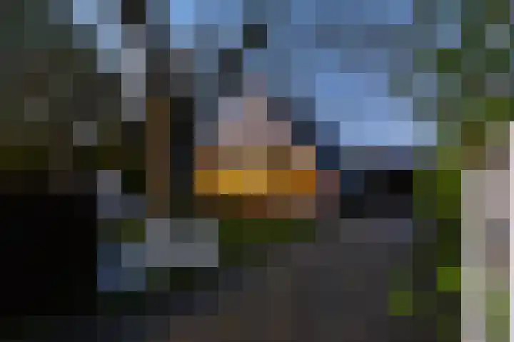 Klapwijkseweg 27 b Pijnacker thumbnail 63
