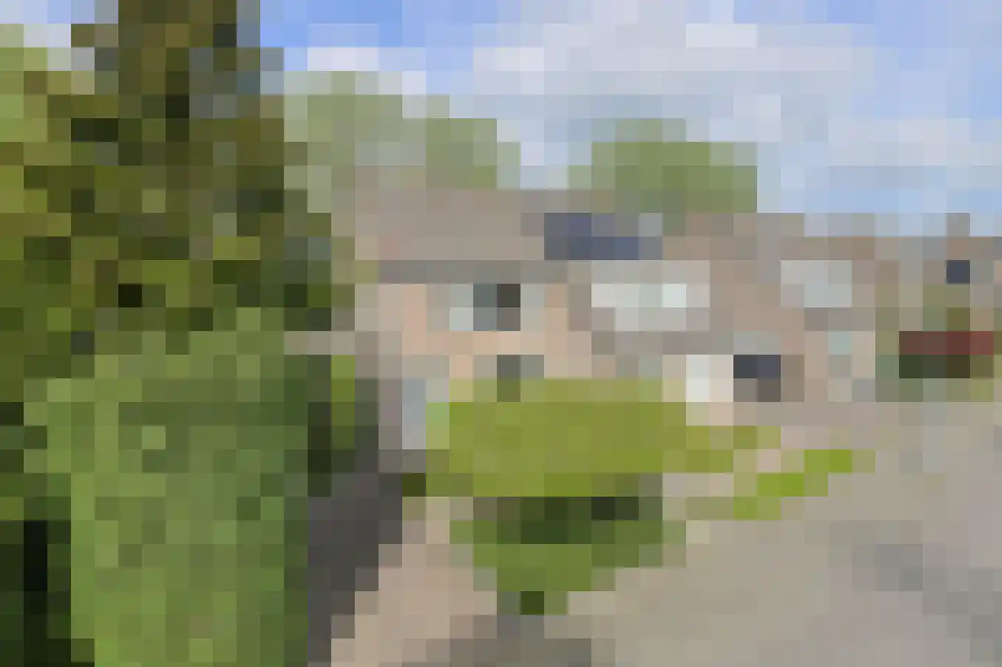Klarenberg 64 Breda