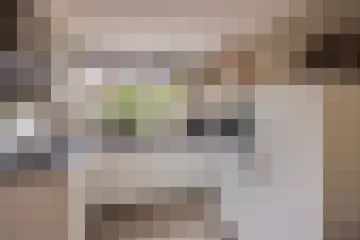 Klarinet 10 De Lier thumbnail 11