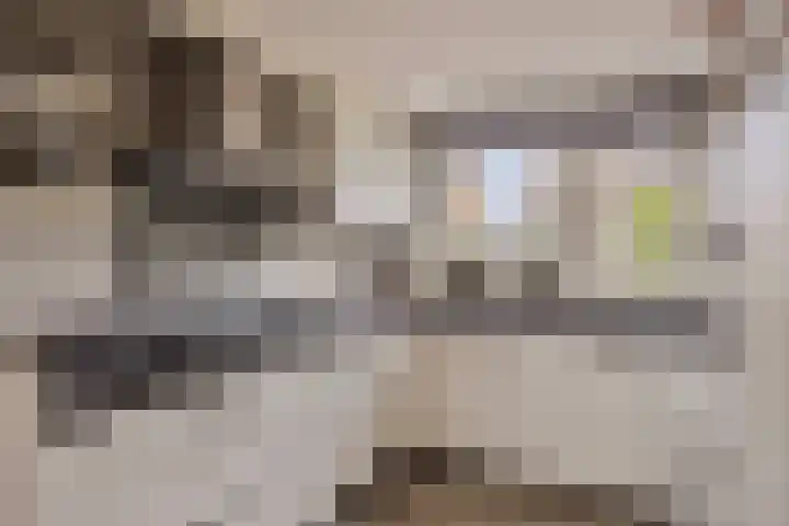 Klarinet 10 De Lier thumbnail 12
