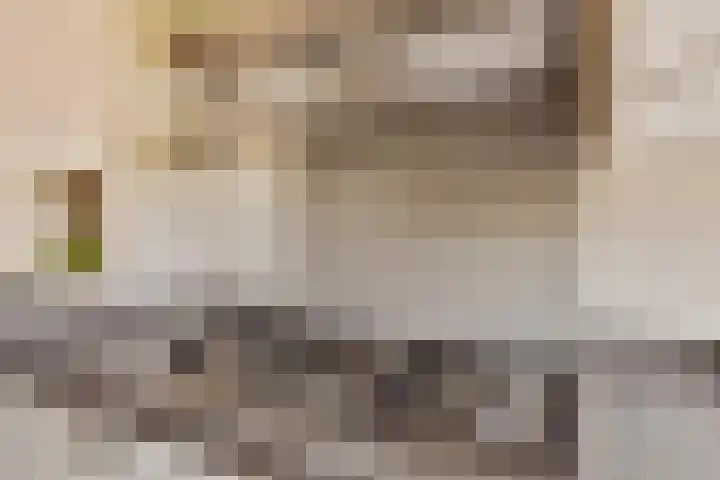 Klarinet 10 De Lier thumbnail 13