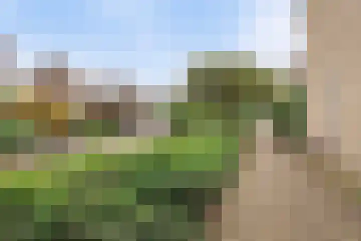 Klarinet 10 De Lier thumbnail 33