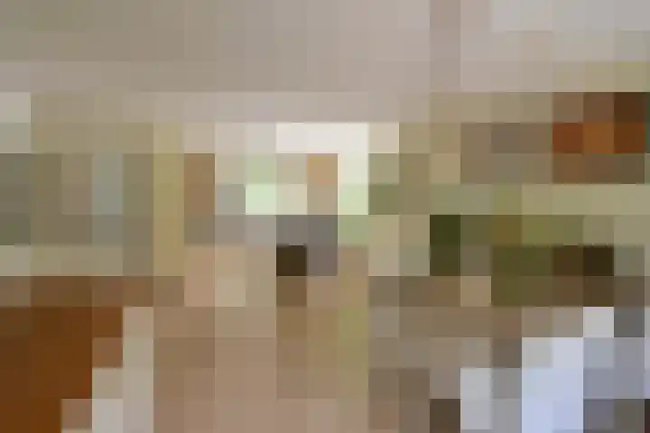 Klarinet 391 Soest thumbnail 6