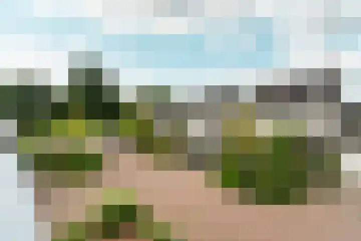 Klaroen 8 Zevenaar thumbnail 34