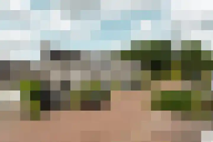 Klaroen 8 Zevenaar thumbnail 35