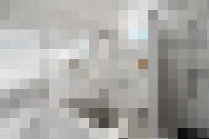 Klaroen 8 Zevenaar thumbnail 37