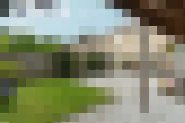Klaroen 8 Zevenaar thumbnail 51