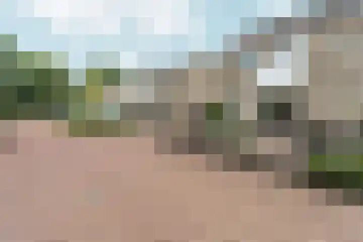 Klaroen 8 Zevenaar thumbnail 57