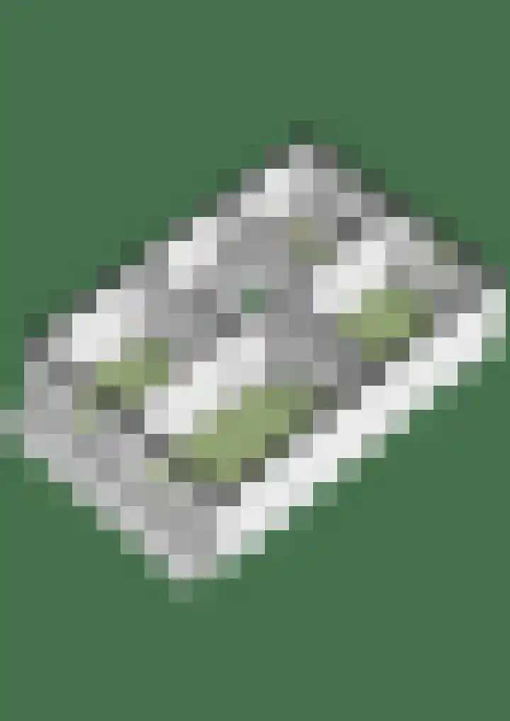 Klaroen 8 Zevenaar thumbnail 61