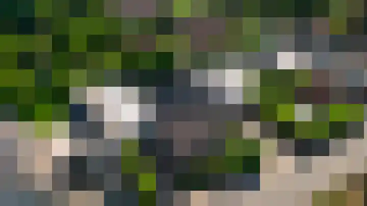Klassenweg 6 Sevenum thumbnail 15