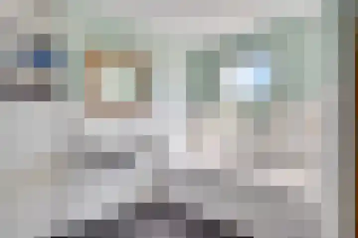 Klassenweg 6 Sevenum thumbnail 69