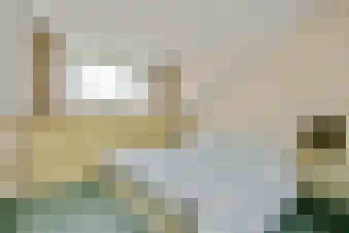 Klaterbos 123 Hoofddorp thumbnail 17