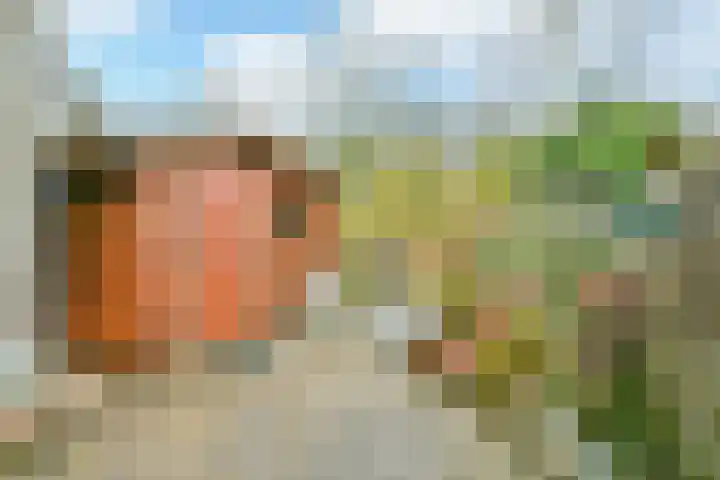 Klaterbos 123 Hoofddorp thumbnail 21