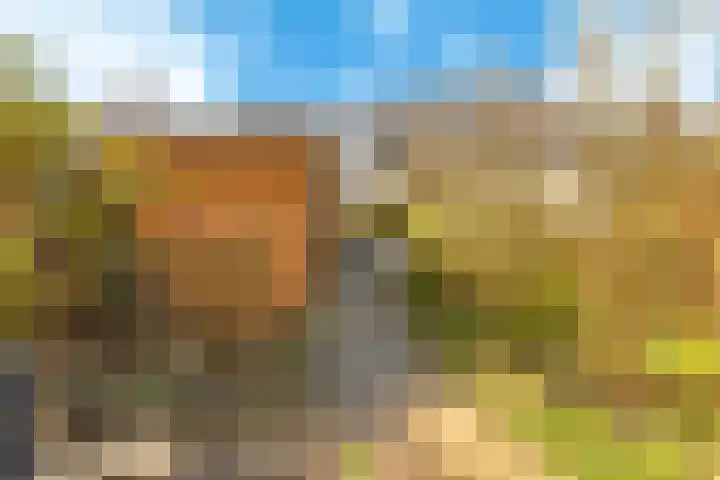 Klaterbos 125 Hoofddorp thumbnail 21