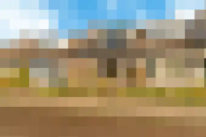 Klaterbos 125 Hoofddorp thumbnail 7