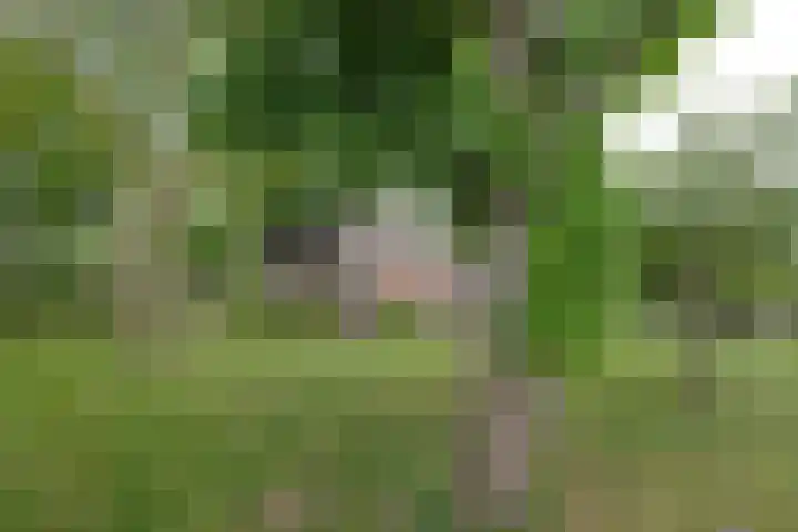 Klatering 33 Beilen thumbnail 33
