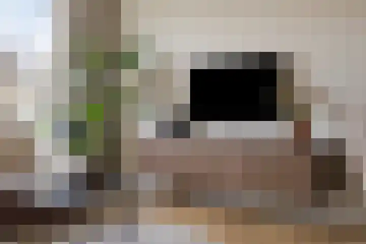 Klaver 28 Cuijk thumbnail 11