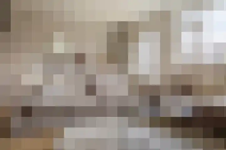 Klaver 28 Cuijk thumbnail 12