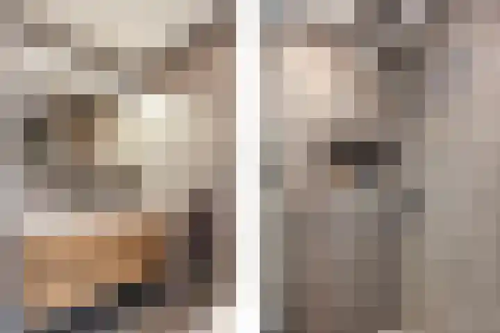 Klaver 28 Cuijk thumbnail 13