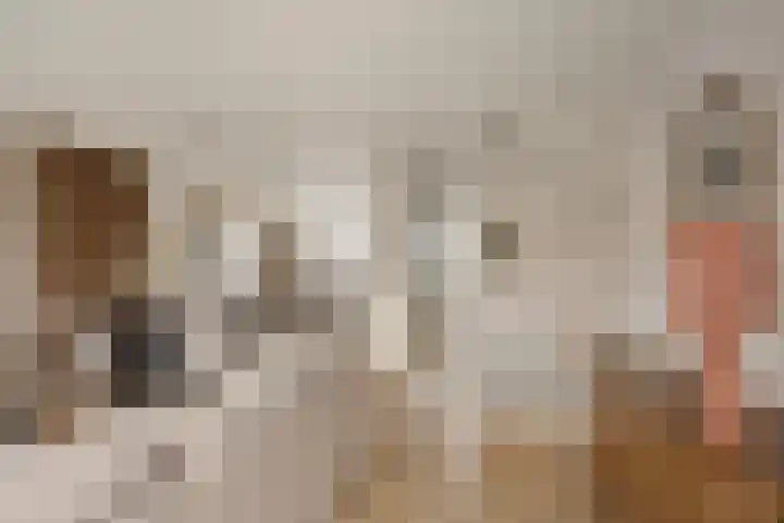 Klaver 28 Cuijk thumbnail 13