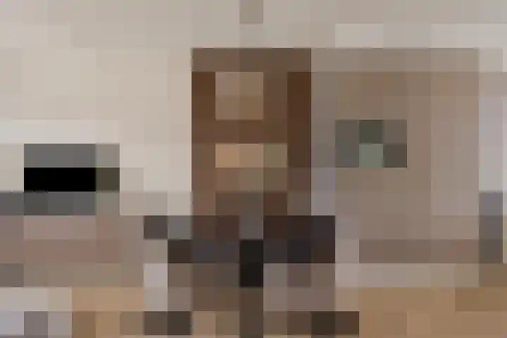 Klaver 28 Cuijk thumbnail 15