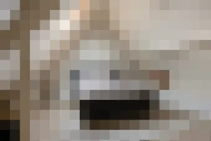 Klaver 28 Cuijk thumbnail 27