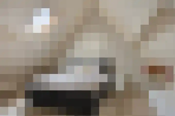 Klaver 28 Cuijk thumbnail 28