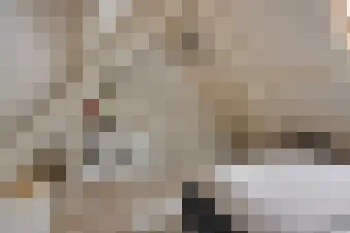 Klaver 28 Cuijk thumbnail 29