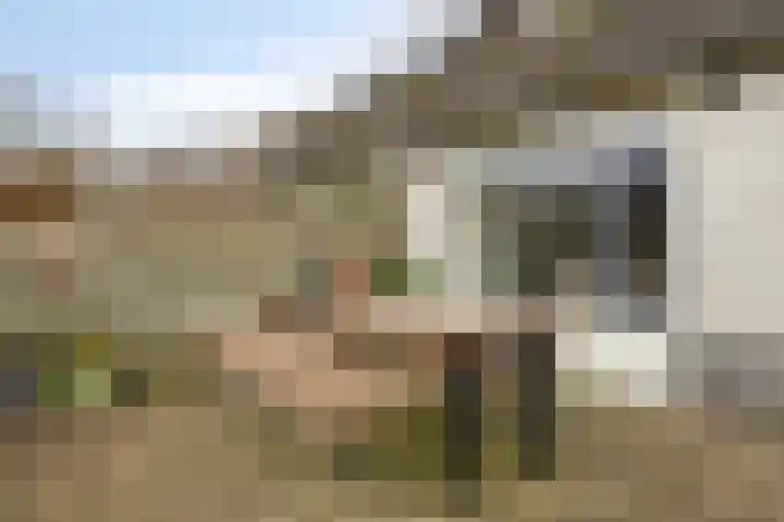 Klaver 28 Cuijk thumbnail 31