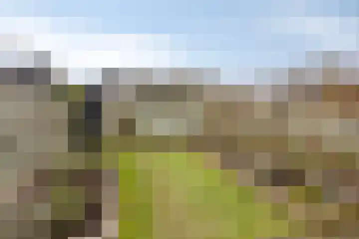 Klaver 28 Cuijk thumbnail 32