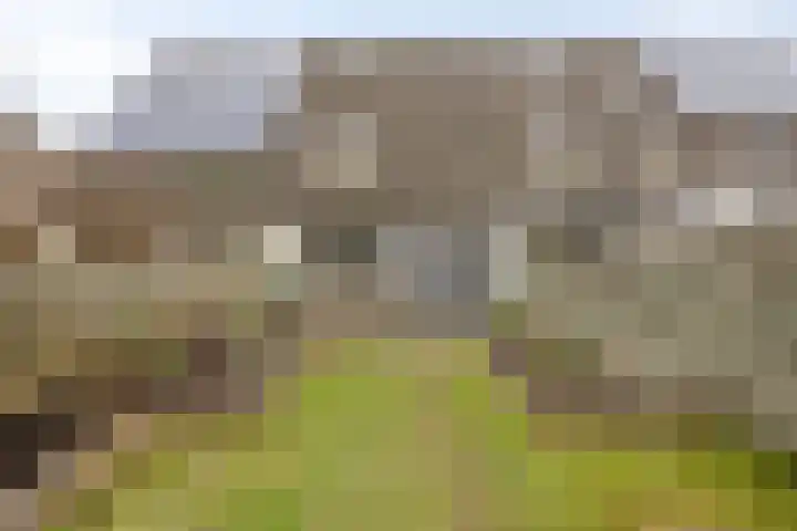 Klaver 28 Cuijk thumbnail 34