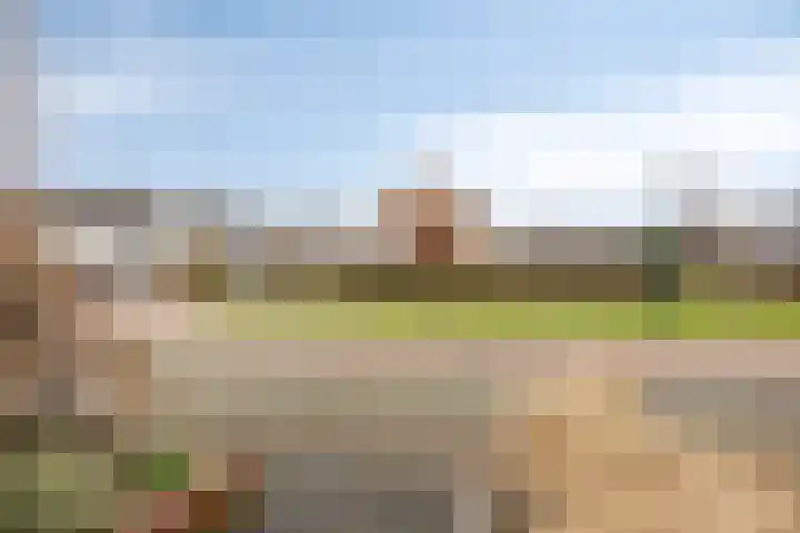 Klaver 28 Cuijk thumbnail 35
